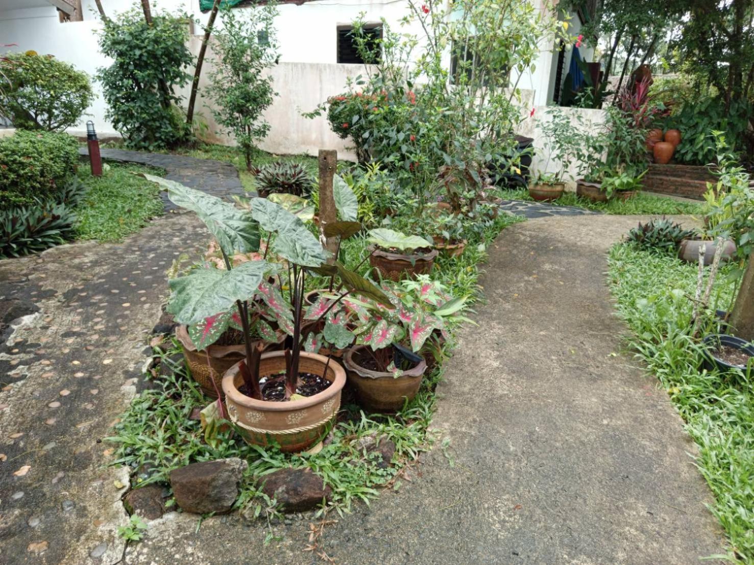 Faye Orchid Garden Resort Koh Chang Exterior foto